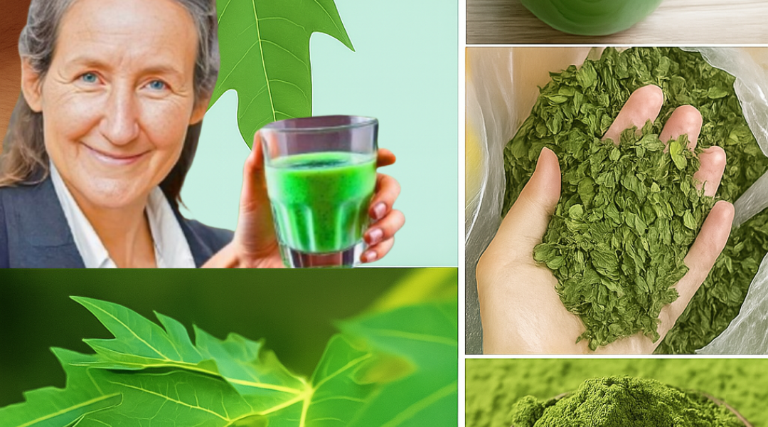 Unveiling the Healing Power of Papaya Leaves: Your New Go-To Natural Remedy 🌿