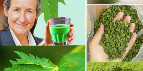 Unveiling the Healing Power of Papaya Leaves: Your New Go-To Natural Remedy 🌿