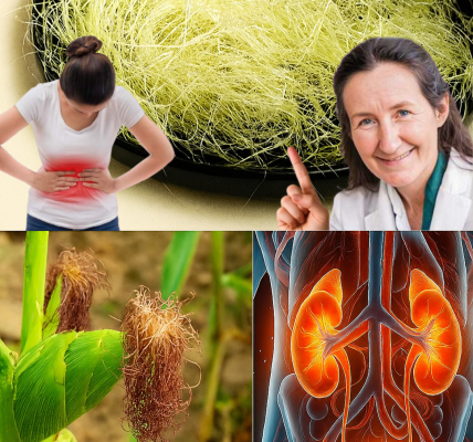 🌽 Unlock the Magic of Corn Silk Tea: A Simple Secret to Vibrant Health 🌽 Unlock the Magic of Corn Silk Tea: A Simple Secret to Vibrant Health