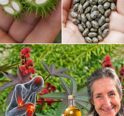🌿 Unlock the Magic of Castor Oil: 7 Life-Changing Benefits You Need to Know