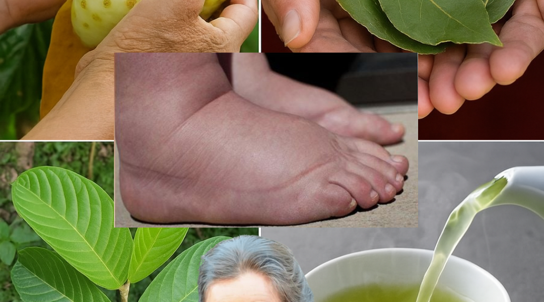 šæ Discover the Miracle Tonic: Your Secret Weapon Against Swollen Feet, Diabetes, and Poor Circulation šæ Discover the Miracle Tonic: Your Secret Weapon Against Swollen Feet, Diabetes, and Poor Circulation