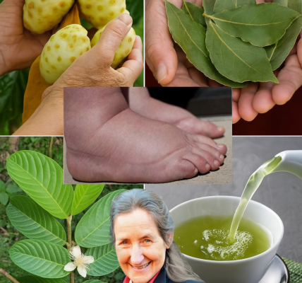 🌿 Discover the Miracle Tonic: Your Secret Weapon Against Swollen Feet, Diabetes, and Poor Circulation 🌿 Discover the Miracle Tonic: Your Secret Weapon Against Swollen Feet, Diabetes, and Poor Circulation