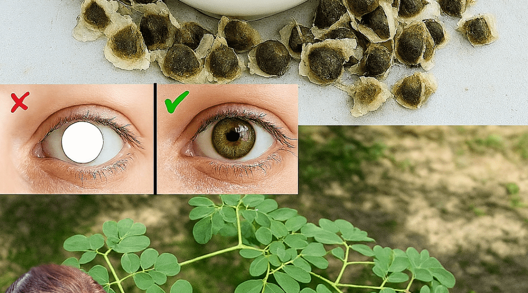 🌱 Unlock the Secret Power of Moringa Seeds: 15 Life-Changing Benefits You Need to Know 🌱 Unlock the Secret Power of Moringa Seeds: 15 Life-Changing Benefits You Need to Know