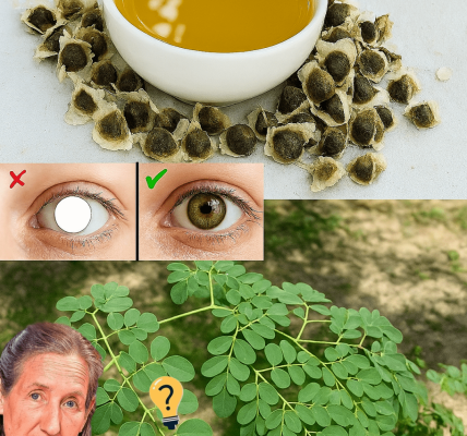 🌱 Unlock the Secret Power of Moringa Seeds: 15 Life-Changing Benefits You Need to Know 🌱 Unlock the Secret Power of Moringa Seeds: 15 Life-Changing Benefits You Need to Know
