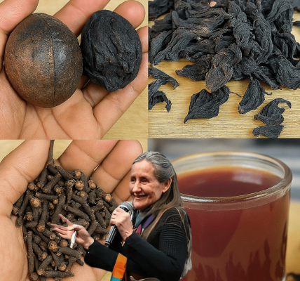 Unveiling the Astonishing Health Secret of Avocado Seeds, Hibiscus, and Cloves