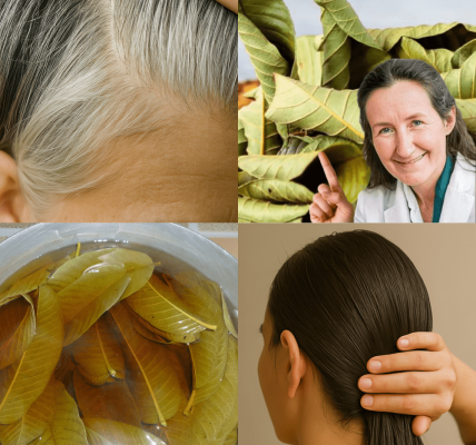 🌿 Unveiling the Hidden Secrets of Guava Leaves: Transform Your Hair Naturally! 🌿 Unveiling the Hidden Secrets of Guava Leaves: Transform Your Hair Naturally!