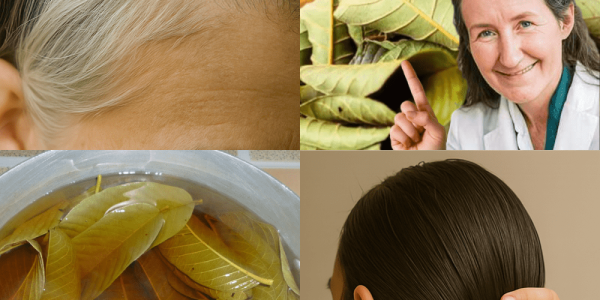 🌿 Unveiling the Hidden Secrets of Guava Leaves: Transform Your Hair Naturally!