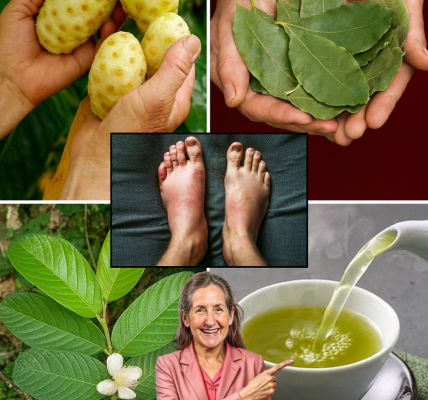 Discover the Ancient Elixir That Could Transform Your Health Forever Discover the Ancient Elixir That Could Transform Your Health Forever