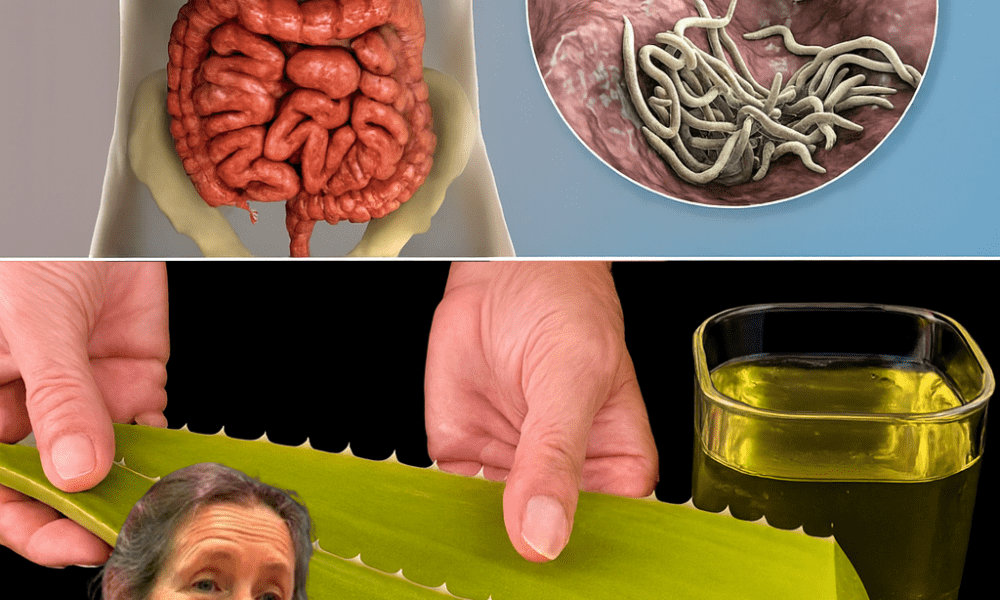 🌿 Unleash the Healing Power of Aloe Vera: Your Ultimate Natural Tonic