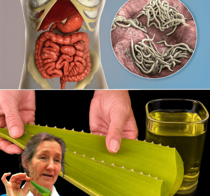 🌿 Unleash the Healing Power of Aloe Vera: Your Ultimate Natural Tonic