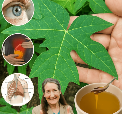 Papaya Leaves: The Hidden Superfood Youâre Missing for Health and Healing Papaya Leaves: The Hidden Superfood Youâre Missing for Health and Healing