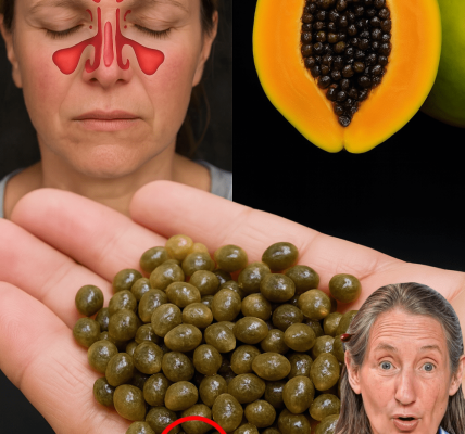 Papaya Seeds: The Tiny Powerhouse to Solve 10 Common Health Issues Naturally Papaya Seeds: The Tiny Powerhouse to Solve 10 Common Health Issues Naturally