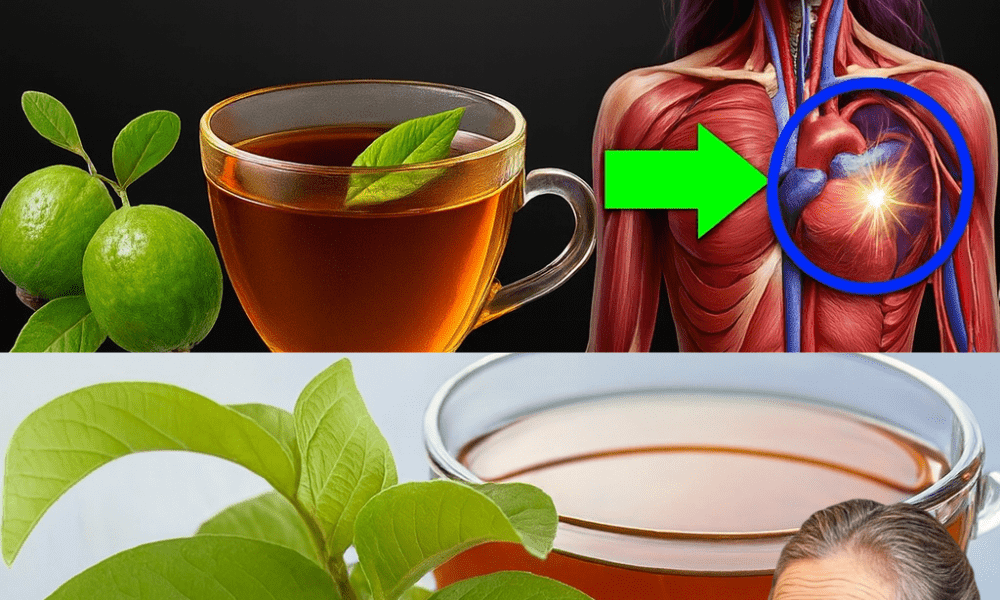 🌿 Discover the Healing Magic of Guava Leaf Tea: 9 Diseases It Can Help Cure 🌿 Discover the Healing Magic of Guava Leaf Tea: 9 Diseases It Can Help Cure