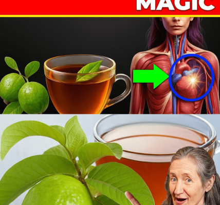 🌿 Discover the Healing Magic of Guava Leaf Tea: 9 Diseases It Can Help Cure 🌿 Discover the Healing Magic of Guava Leaf Tea: 9 Diseases It Can Help Cure