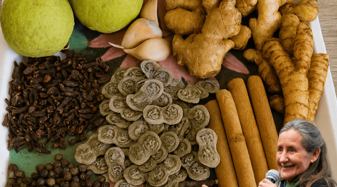 The Everywoman Combo: A Natural Blend for Women’s Vitality The Everywoman Combo: A Natural Blend for Women’s Vitality