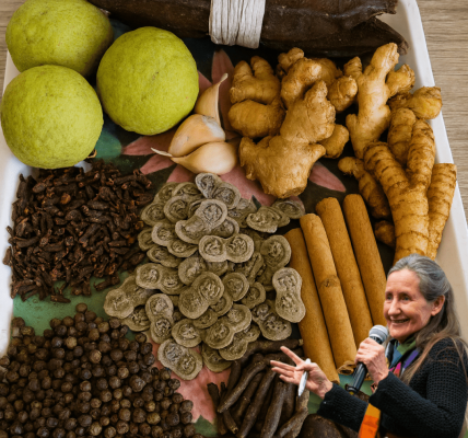 The Everywoman Combo: A Natural Blend for Women’s Vitality The Everywoman Combo: A Natural Blend for Women’s Vitality