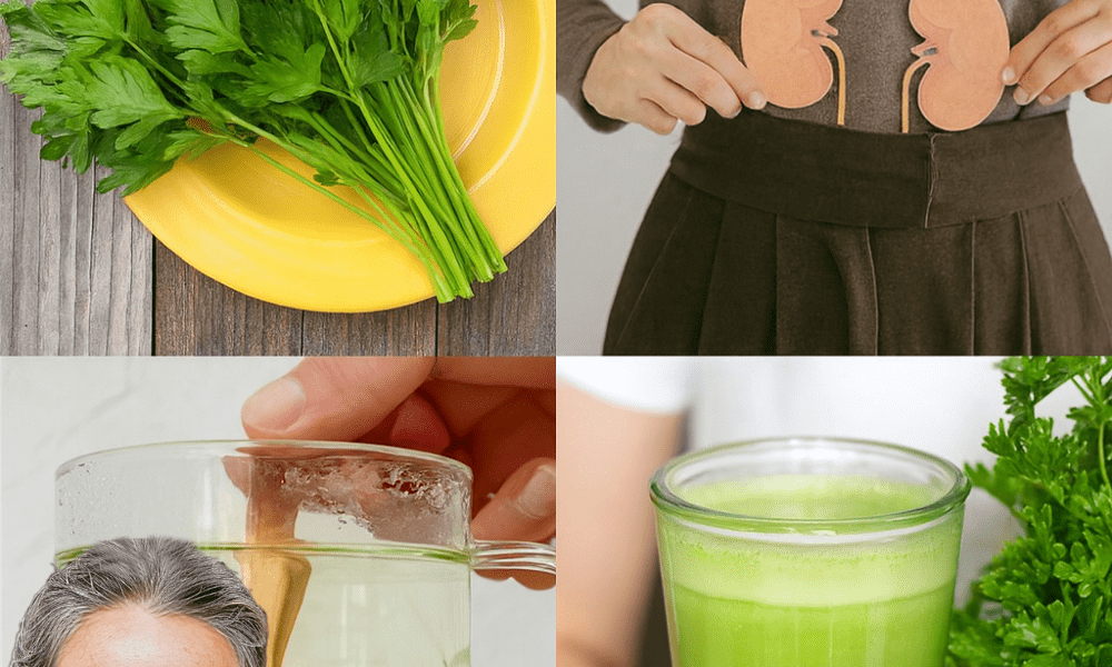 🌿 Ancient Amazonian Kidney Cleanse: A Potent Herbal Infusion for Detox and Vitality 🌿 Ancient Amazonian Kidney Cleanse: A Potent Herbal Infusion for Detox and Vitality