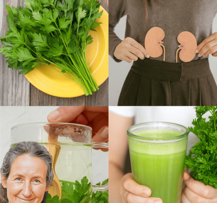 🌿 Ancient Amazonian Kidney Cleanse: A Potent Herbal Infusion for Detox and Vitality 🌿 Ancient Amazonian Kidney Cleanse: A Potent Herbal Infusion for Detox and Vitality