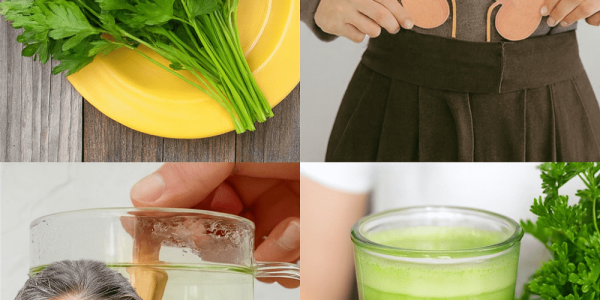 🌿 Ancient Amazonian Kidney Cleanse: A Potent Herbal Infusion for Detox and Vitality 🌿 Ancient Amazonian Kidney Cleanse: A Potent Herbal Infusion for Detox and Vitality