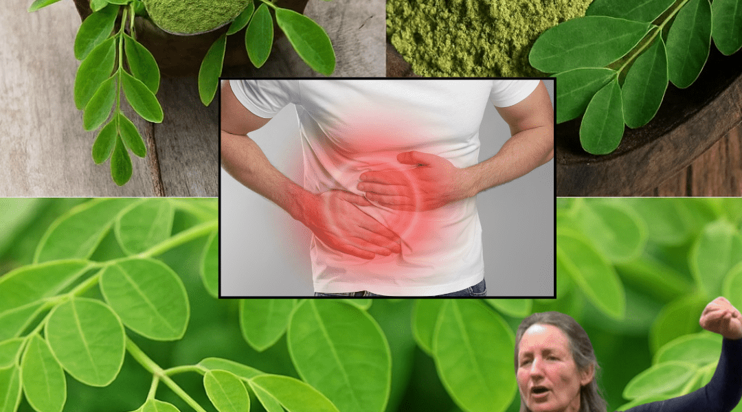 🌱 The Miracle of Moringa Leaf Powder: Unlock Nature’s Ultimate Wellness Secret 🌱 The Miracle of Moringa Leaf Powder: Unlock Nature’s Ultimate Wellness Secret