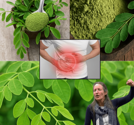 🌱 The Miracle of Moringa Leaf Powder: Unlock Nature’s Ultimate Wellness Secret
