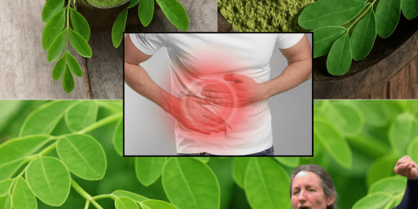 🌱 The Miracle of Moringa Leaf Powder: Unlock Nature’s Ultimate Wellness Secret 🌱 The Miracle of Moringa Leaf Powder: Unlock Nature’s Ultimate Wellness Secret