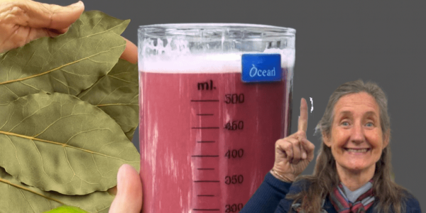 Discover the Ancient Elixir That Transforms Your Health Naturally Discover the Ancient Elixir That Transforms Your Health Naturally