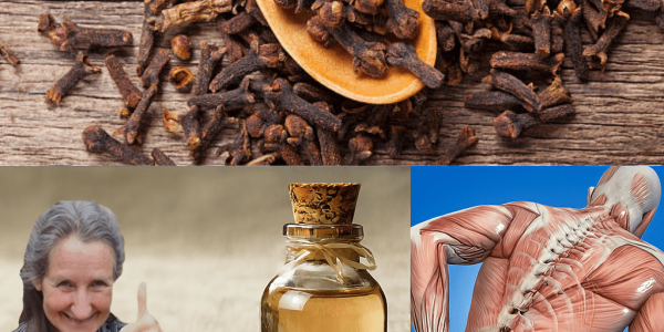 Clove Water: The Unsung Hero of Wellness—Discover 8 Mind-Blowing Benefits You’ve Been Missing!