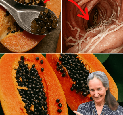 🌱 Discover the Secret Power of Papaya Seeds: 8 Life-Changing Health Benefits You Can’t Ignore 🌱 Discover the Secret Power of Papaya Seeds: 8 Life-Changing Health Benefits You Can’t Ignore