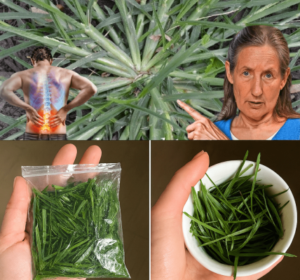 Unveiling the Hidden Power of Goose Grass: Your Ultimate Guide to Its Healing Secrets Unveiling the Hidden Power of Goose Grass: Your Ultimate Guide to Its Healing Secrets