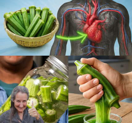 🌿 10 Surprising Ways Okra Boosts Your Wellness Naturally 🌿 10 Surprising Ways Okra Boosts Your Wellness Naturally
