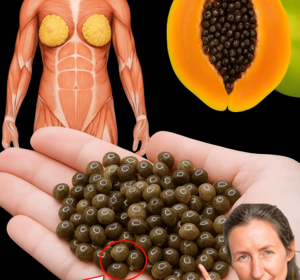 🌿 Papaya Seeds: The Tiny Powerhouses That Erase 10 Common Health Issues Naturally 🌿 Papaya Seeds: The Tiny Powerhouses That Erase 10 Common Health Issues Naturally