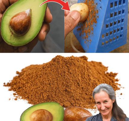 Don’t Toss That Pit! 7 Surprising Reasons Avocado Seeds Are Your New Health Secret Don’t Toss That Pit! 7 Surprising Reasons Avocado Seeds Are Your New Health Secret