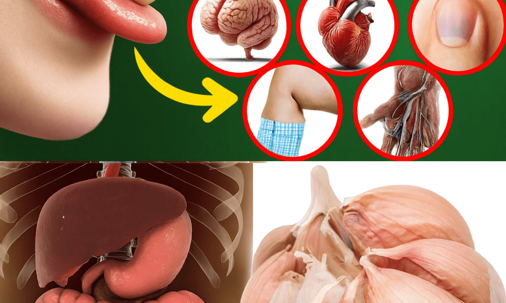 đź§„ Raw Garlic: The Small Wonder That Packs a Huge Health Punch đź§„ Raw Garlic: The Small Wonder That Packs a Huge Health Punch