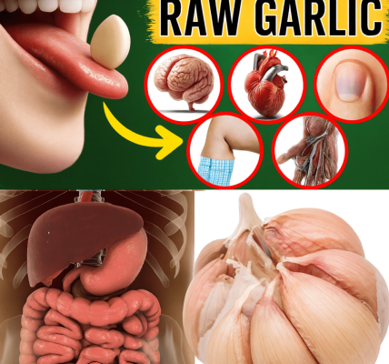 đ§ Raw Garlic: The Small Wonder That Packs a Huge Health Punch đ§ Raw Garlic: The Small Wonder That Packs a Huge Health Punch