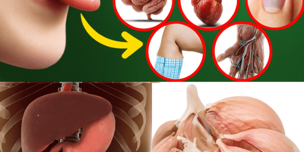 đź§„ Raw Garlic: The Small Wonder That Packs a Huge Health Punch đź§„ Raw Garlic: The Small Wonder That Packs a Huge Health Punch