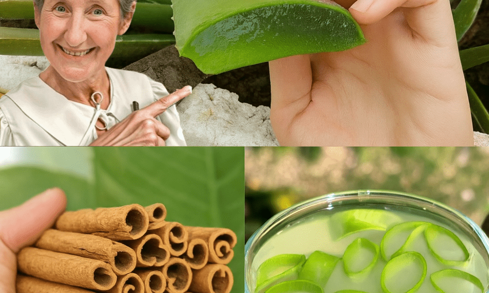🌿 The Cancer Eliminator: A Potent Aloe Vera and Cinnamon Elixir to Boost Health and Vision! 🌿 The Cancer Eliminator: A Potent Aloe Vera and Cinnamon Elixir to Boost Health and Vision!