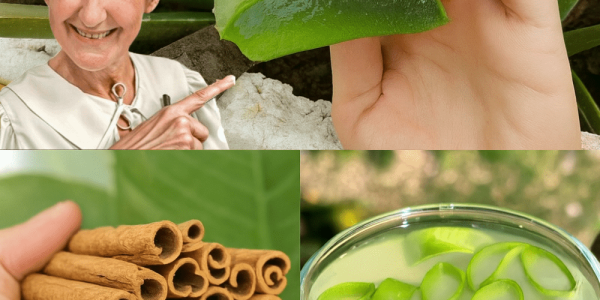 šæ The Cancer Eliminator: A Potent Aloe Vera and Cinnamon Elixir to Boost Health and Vision! šæ The Cancer Eliminator: A Potent Aloe Vera and Cinnamon Elixir to Boost Health and Vision!