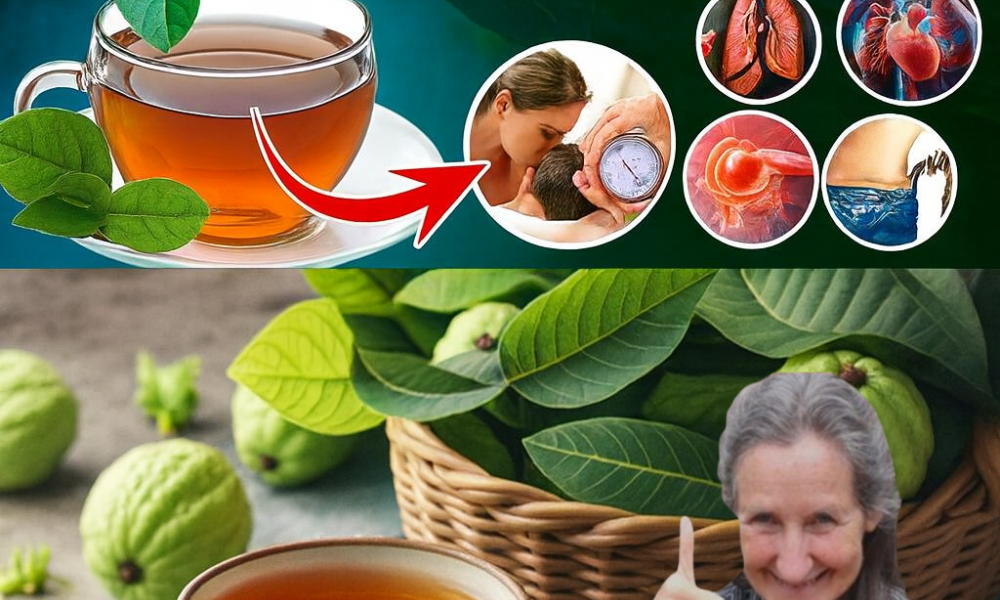 12 Surprising Ways Guava Leaves Can Transform Your Health Naturally 12 Surprising Ways Guava Leaves Can Transform Your Health Naturally