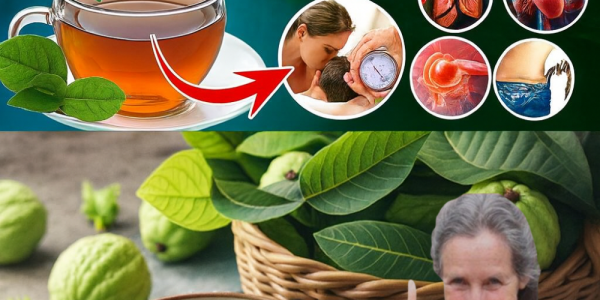 12 Surprising Ways Guava Leaves Can Transform Your Health Naturally