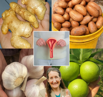 🌿 Empower Your Wellness: The Natural Bitter Kola, Ginger, and Lime Remedy for Vaginal Health 🌿 Empower Your Wellness: The Natural Bitter Kola, Ginger, and Lime Remedy for Vaginal Health