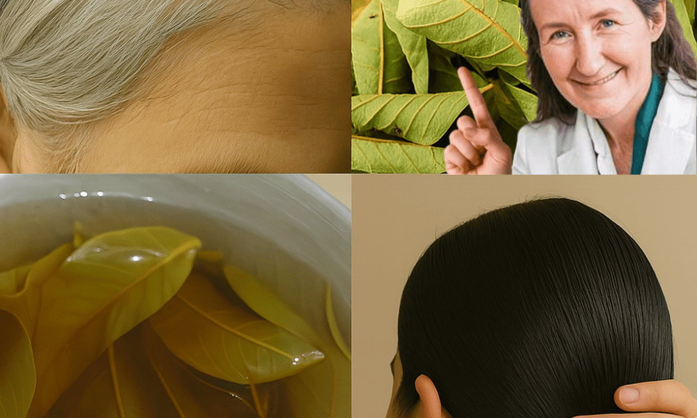 Guava Leaves: Nature’s Secret for Transforming White Hair to Black Guava Leaves: Nature’s Secret for Transforming White Hair to Black