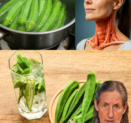 11 Compelling Reasons to Make Okra Your Weekly Wellness Staple 🌱 11 Compelling Reasons to Make Okra Your Weekly Wellness Staple 🌱