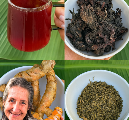 Transform Your Health After 50: The Ultimate Herbal Elixir to Beat Diabetes, Fatty Liver, Poor Circulation, and Joint Pain Transform Your Health After 50: The Ultimate Herbal Elixir to Beat Diabetes, Fatty Liver, Poor Circulation, and Joint Pain