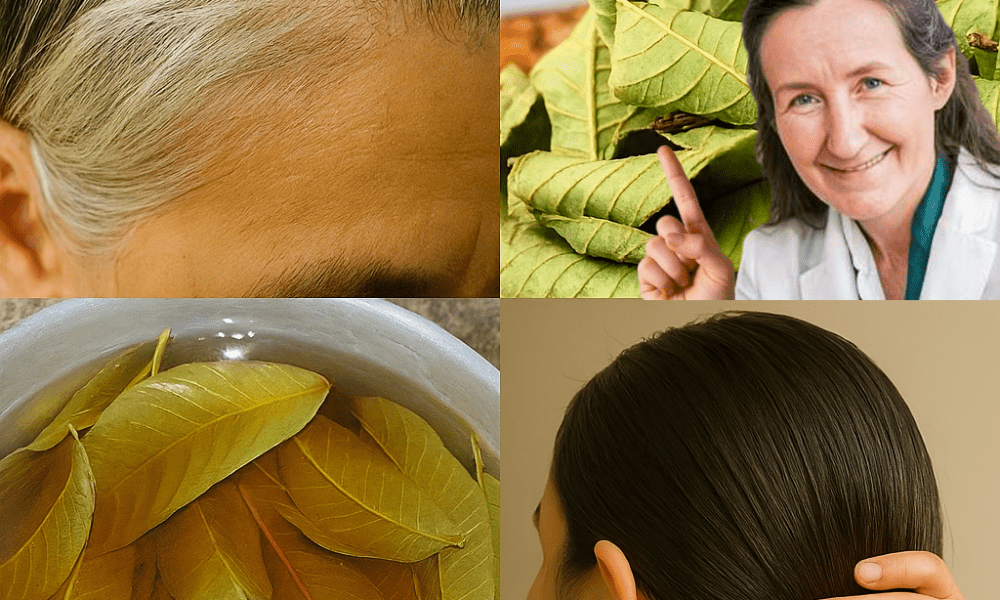 šæ Unlock the Secret to Naturally Black Hair: The Magic of Guava Leaves šæ Unlock the Secret to Naturally Black Hair: The Magic of Guava Leaves