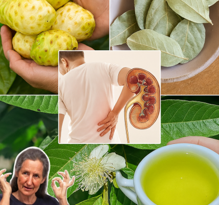 Natureâs Secret Elixir: A Healing Tonic to Soothe Swollen Feet, Balance Blood Sugar, and Boost Circulation Natureâs Secret Elixir: A Healing Tonic to Soothe Swollen Feet, Balance Blood Sugar, and Boost Circulation