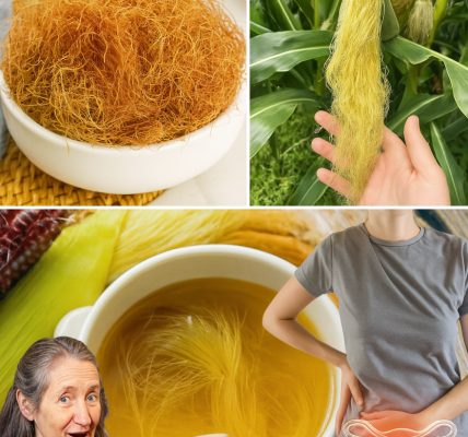 🌽 Corn Silk Tea: The Hidden Wellness Treasure in Your Kitchen 🌽 Corn Silk Tea: The Hidden Wellness Treasure in Your Kitchen