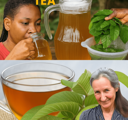 Unlock the Healing Power of Guava Leaf Tea: 9 Conditions It Can Transform Naturally π Unlock the Healing Power of Guava Leaf Tea: 9 Conditions It Can Transform Naturally π