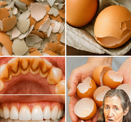 ✨ Unlock a Dazzling Smile with Nature’s Hidden Gem: The Eggshell Secret ✨ Unlock a Dazzling Smile with Nature’s Hidden Gem: The Eggshell Secret