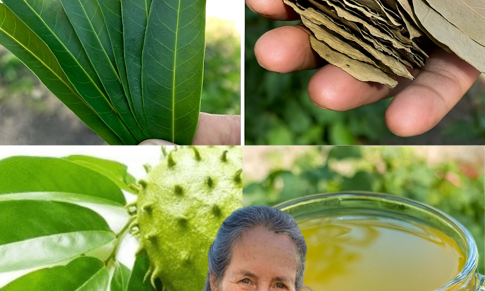 Unlock the Secret to Reversing Diabetes, High Blood Pressure, and Poor Circulation Naturally Unlock the Secret to Reversing Diabetes, High Blood Pressure, and Poor Circulation Naturally